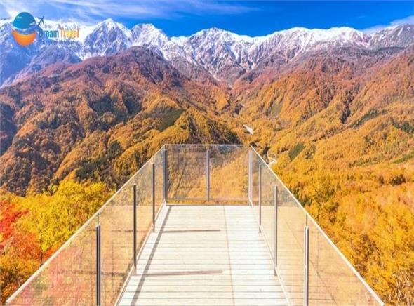 [HCM] Tour Nhật Bản Cung Đường Romantic Mùa Thu 2026